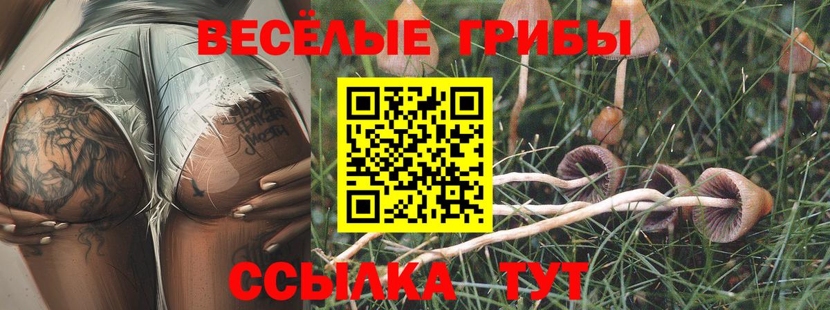 Псилоцибиновые грибы Magic Shrooms  Псилоцибиновые грибы Psilocybine cubensis  Вход с VPN  Удомля 