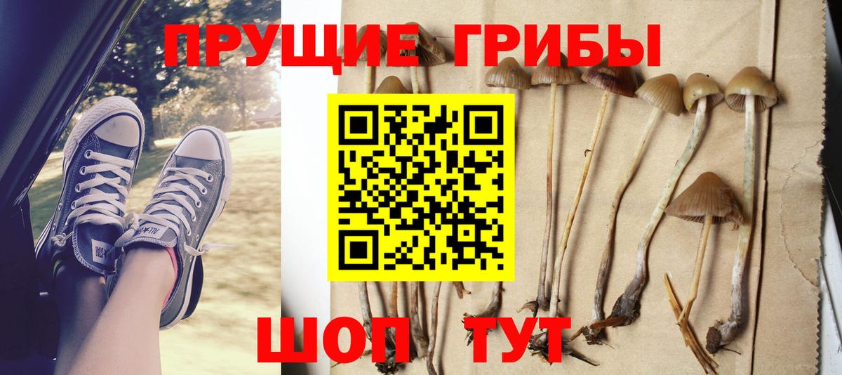 Галлюциногенные грибы Psilocybine cubensis Удомля